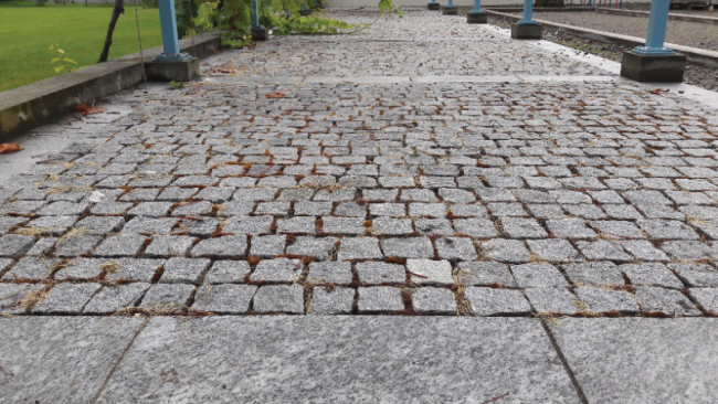 Preview: Unkrautbekämpfung ohne Chemie